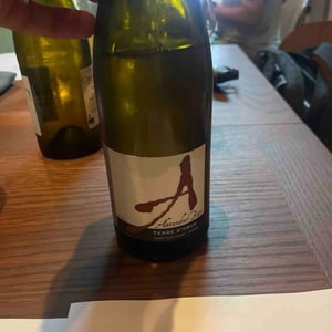 Terres d'Obus - Domaine Alexandre Bain - Alexandre Bain 