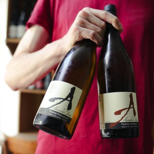 Terres d'Obus - Domaine Alexandre Bain - alexandre-bain