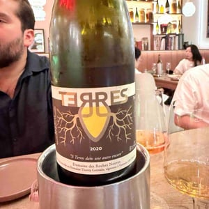 Terres - Domaine des Roches Neuves - thierry-et-louis-germain