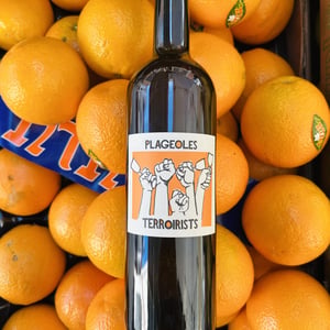 Terroirists Orange - Domaine Plageoles - bernard-florent-romain-plageoles