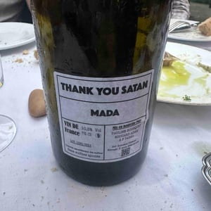 Thank you Satan - Domaine Mada - Pauline Bousquet & Edouard Adam -2022