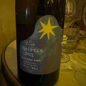 The Litre - Lucas Madonia - Lucas Madonia 