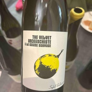 The Velvet Underschiste - La Graine Sauvage - Sybil Baldassarre 