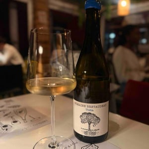 Théia - Domaine de Bellevue - Jérôme Bretaudeau -2023