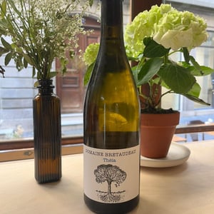 Théia - Domaine de Bellevue - Jérôme Bretaudeau -2023