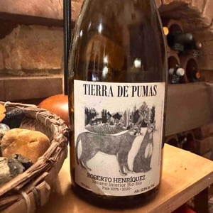 Tierra De Pumas - Roberto Henriquez - Roberto Henriquez 