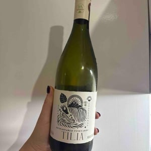 Tilia - Mendoza - nicolina-salese -2024
