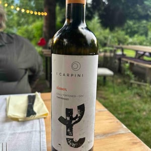 Timox - I Carpini - i-carpini -2019