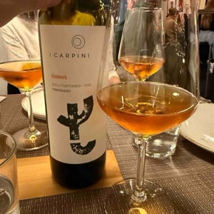Timox - I Carpini - i-carpini -2019