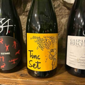 Tinc Set - Ramon Jané Viticultor - Ramón Jané 