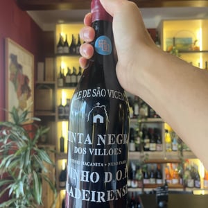 Tinta negra dos villoes - António Maçanita - António Maçanita 