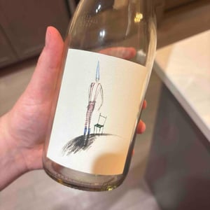 Tinto País - Vinos Pino Román - Ignacio Pino Román 