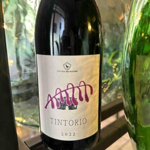 Tintorio - Fattoria del Piccione - Stefano Pasini