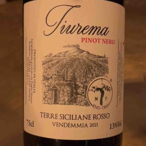 Tiurema - Enò-Trio - nunzio-stefany-desiree-puglisi