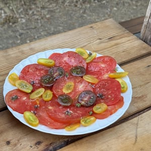 Tomato Salad - Terrafranta - 1371501