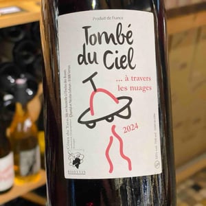 Tombé du ciel (Rosé) - L'enclos Des Braves - chantal-nicolas-lebrun