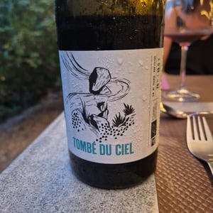 Tombé du Ciel - Domaine le Pigeonnier - Jocelyn Vigouroux 