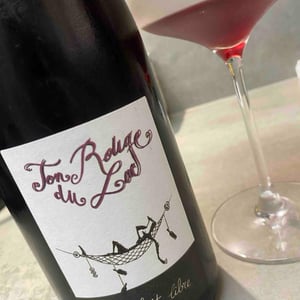 Ton Rouge Du Lac - Ça Boit Libre - damien-bastian-goddard -2020
