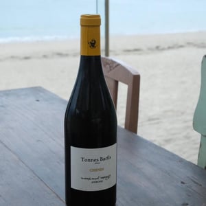Tonnes Barils - Domaine Bonnigal-Bodet - jean-baptiste-bonnigal-stephane-bodet -2024