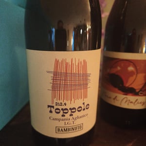 Toppole - Bambinuto - Marilena Bambinuto -2024