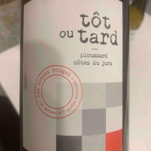 Tôt ou Tard - Les Bottes Rouges - Florien Klein Snuverink & Jean-Baptiste Menigoz