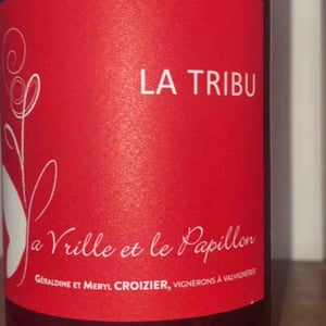 Tous Cousins - La Vrille et le Papillon - geraldine-meryl-croizier