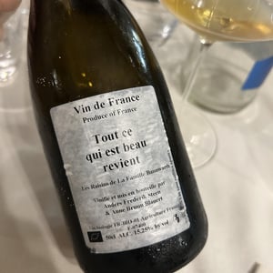 Tout ce qui est beau revient - Anders Frederik Steen & Anne Bruun Blauert - Anders Frederik Steen & Anne Bruun Blauert -2018