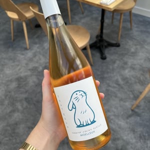 Tout Doux (blanc moelleux ) - Domaine Julien Auroux - Julien Auroux 