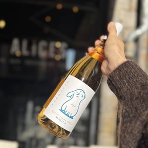 Tout Doux (blanc moelleux ) - Domaine Julien Auroux - Julien Auroux 
