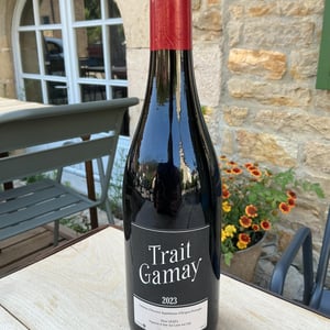 Trait Gamay - Rémi Sédès - Rémi Sédès 