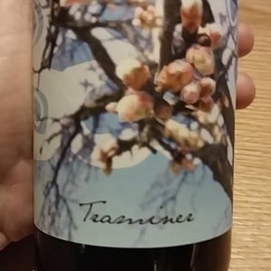 Traminer - Weingut Beck - judith-beck