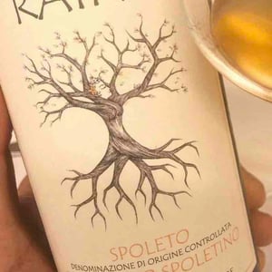 Trebbiano Spoletino - Raína - francesco-mariani