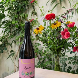 Trébién - Azienda Agricola Alessandro Viola - alessandro-viola -2025