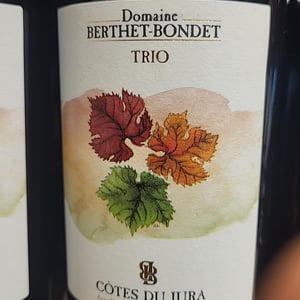 Trio - Domaine Berthet-Bondet - helene-chantal-jean-berthet-bondet -2020