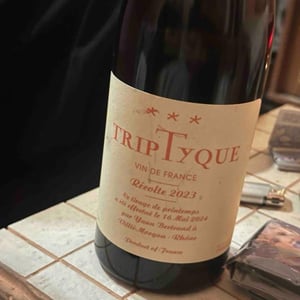 TripTyque - Les Bertrand - guy-annick-yann-bertrand -2023
