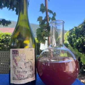 Trousseau - Lucy Margaux Vineyards - anton-van-klopper