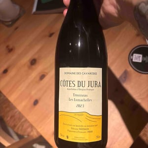 Trousseau Les Lumachelles - Domaine des Cavarodes - etienne-thiebaud