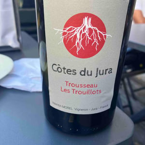 Trousseau Les Trouillots - Les Pieds Sur Terre - Valentin Morel