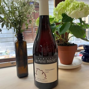 Trousseau - Domaine Des Marnes Blanches - Pauline & Géraud Fromont 