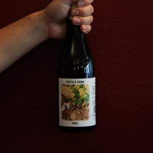 Truba - Sutta a Vigna - Antonio Mendolia -2024