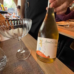 Tsitska pet-nat - Baia's Wine - gvantsa-giorgi-baia-abuladze -2021