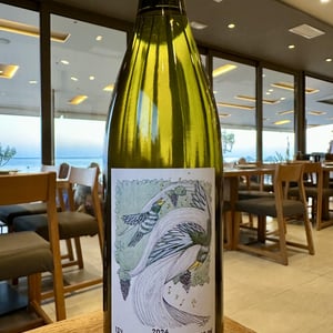 Tsolikouri - Makaridze Winery - gogita-keto-makaridze