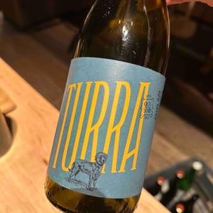Turra Blanco - Turra WInes - Teixeira da Mota & Andrade - teixeira-da-mota-andrade -2020