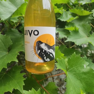 Uivo Curtido - Folias de Baco - tiago-sampaio