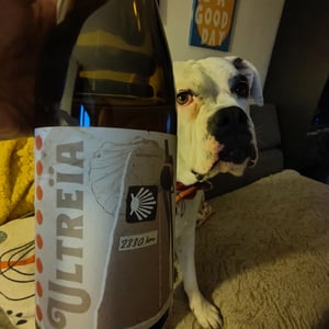 Ultreïa - Larcelet Vincent - Domaine du Petit Bouchon - vincent-larcelet -2023
