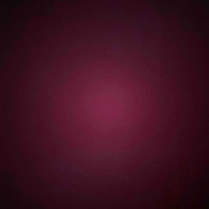 Un P'tit Coin de Paradis - Les Vignes de Paradis - Dominique Lucas