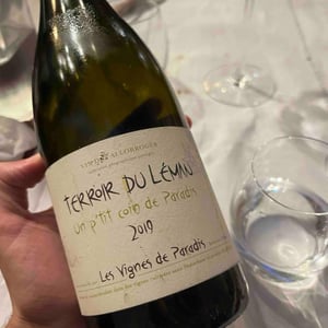 Un P'tit Coin de Paradis - Les Vignes de Paradis - Dominique Lucas 