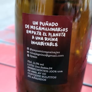 Un puñado de megamillonarios empuja el planeta a una ruina inhabitable - Pequeños y Salvajes - vicky-y-nahuel -2024
