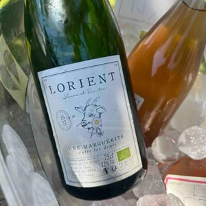 Une marguerite entre les dents - Domaine De Lorient - Laure Colombo & Dimitri Roulleau-Gallais -2020