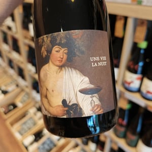 Une Vie La Nuit - Clos du Rouge Gorge - Cyril Fhal 